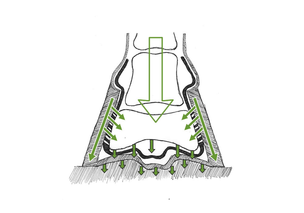 Hufmechanismus